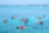 LWS Snorkel Tour 5.jpg