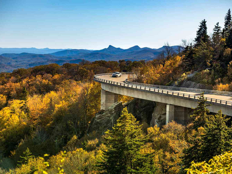 A Guide to Skyline Drive: Must-See Overlooks and Tips for an Unforgettable Journey