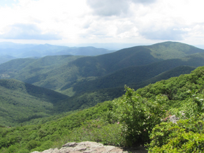 A Tranquil Escape: Discovering Serenity on the Mount Pleasant Loop Trail in Virginia