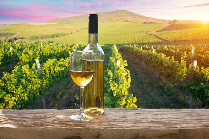 Explore the finest wineries and craft breweries in Shenandoah Valley—where breathtaking views meet exceptional flavors! 