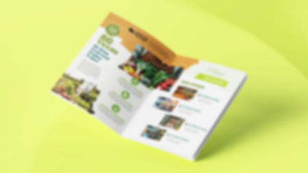 Organic Grocery Market Catalog Booklet Brochure 12 Pages