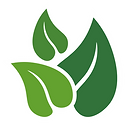 Environmentally sustainable green clean energy solutions