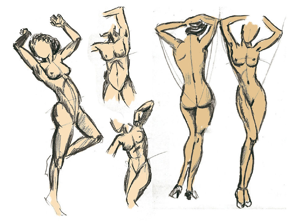 Ilustración anatómica