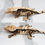Thumbnail: LuCom01 - Pinstripe Crested Gecko