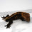 Thumbnail: SaHa05 Empty Back Pinstripe Crested Gecko