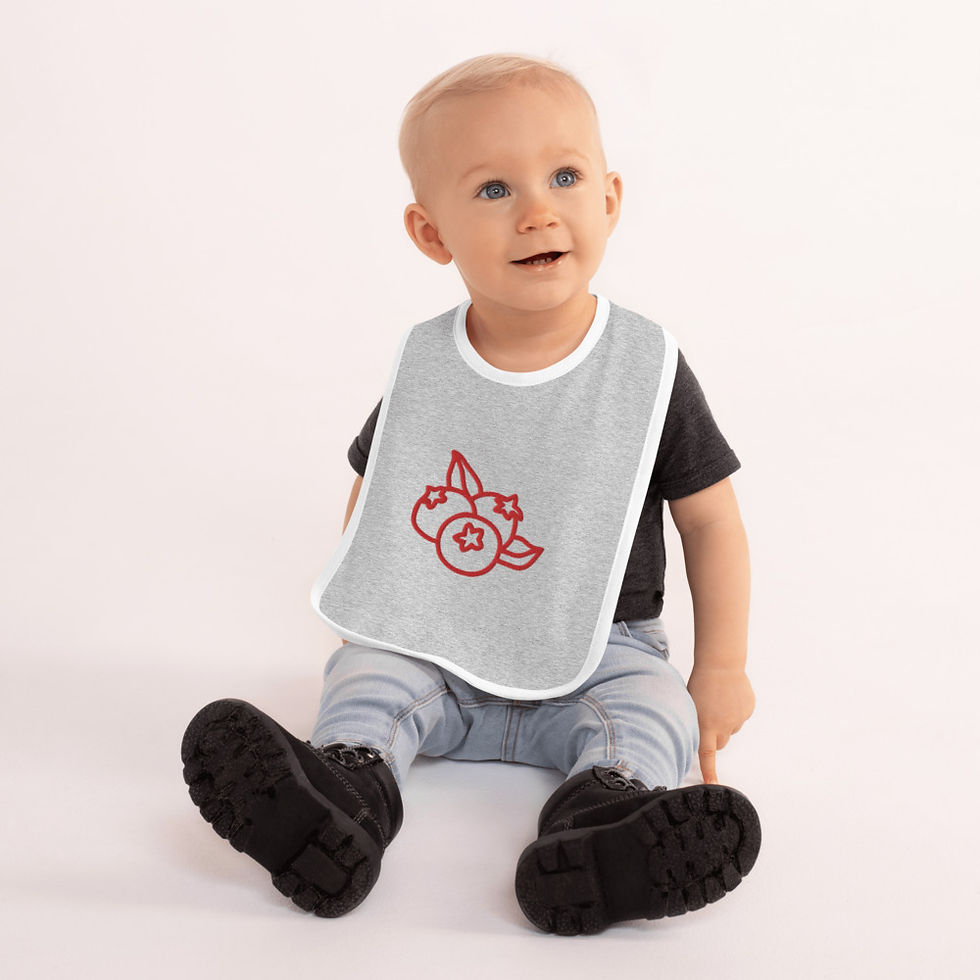 Thumbnail: Embroidered Baby Bib