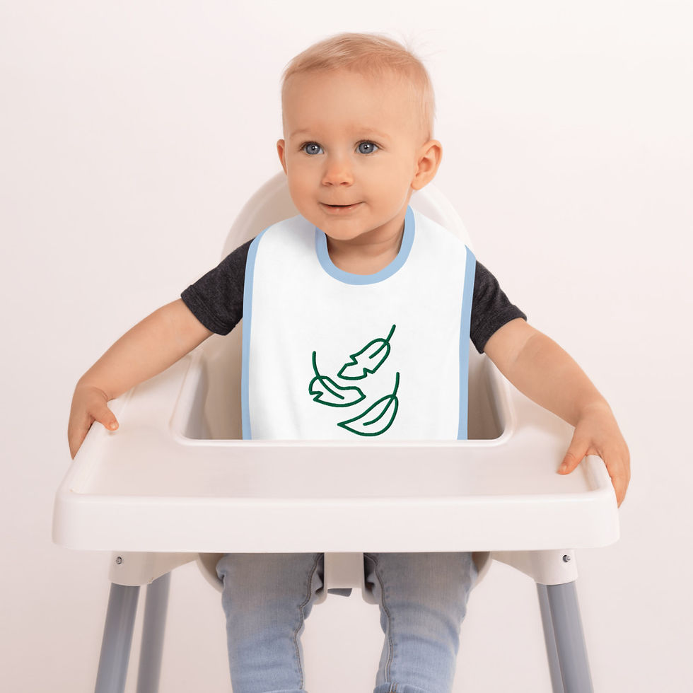 Thumbnail: Embroidered Baby Bib