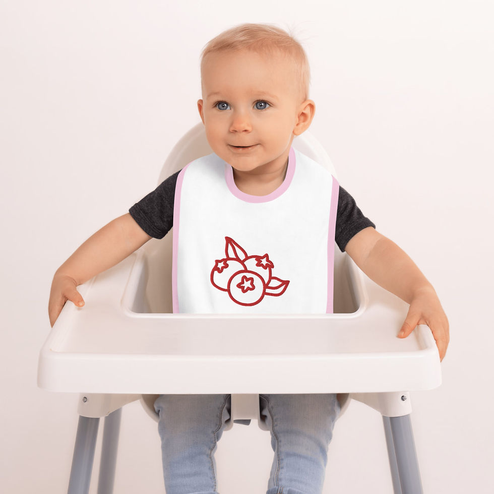 Thumbnail: Embroidered Baby Bib