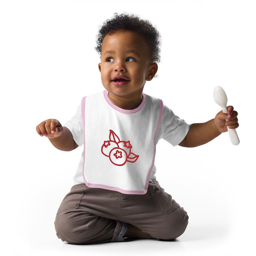 Thumbnail: Embroidered Baby Bib