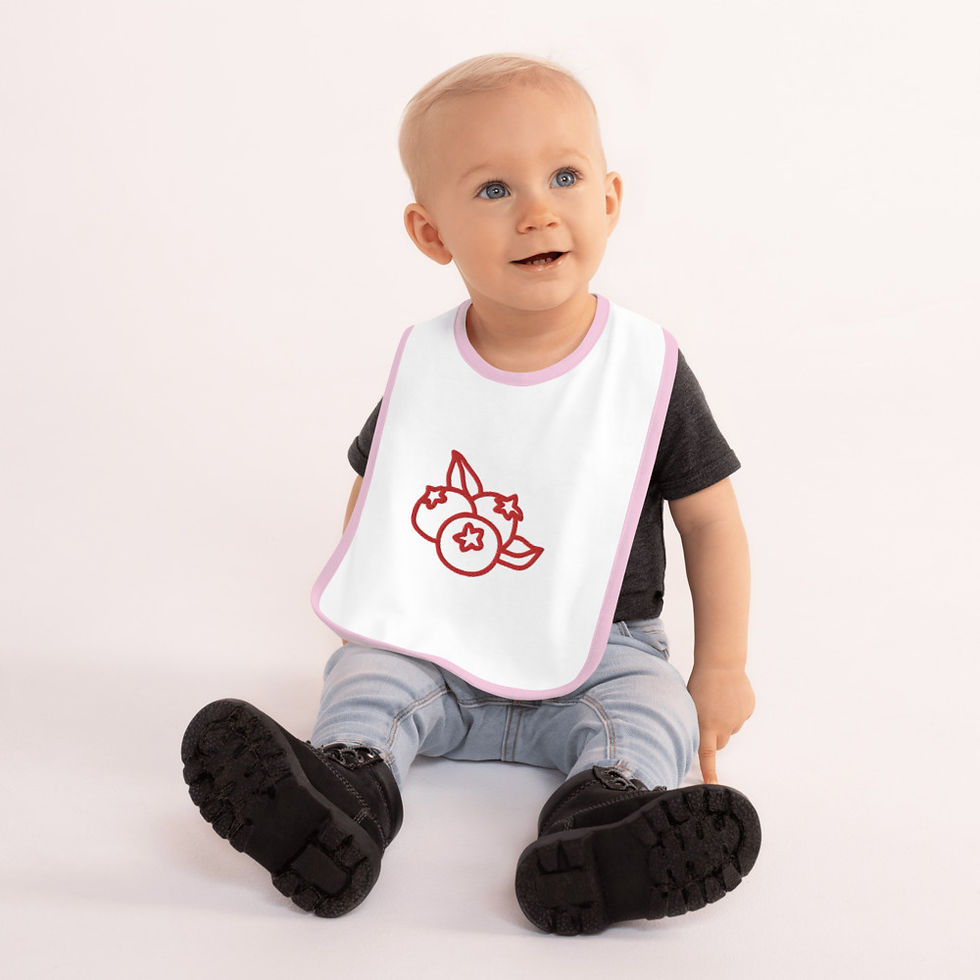 Thumbnail: Embroidered Baby Bib