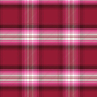 PLAIDS N MORE-04.jpg