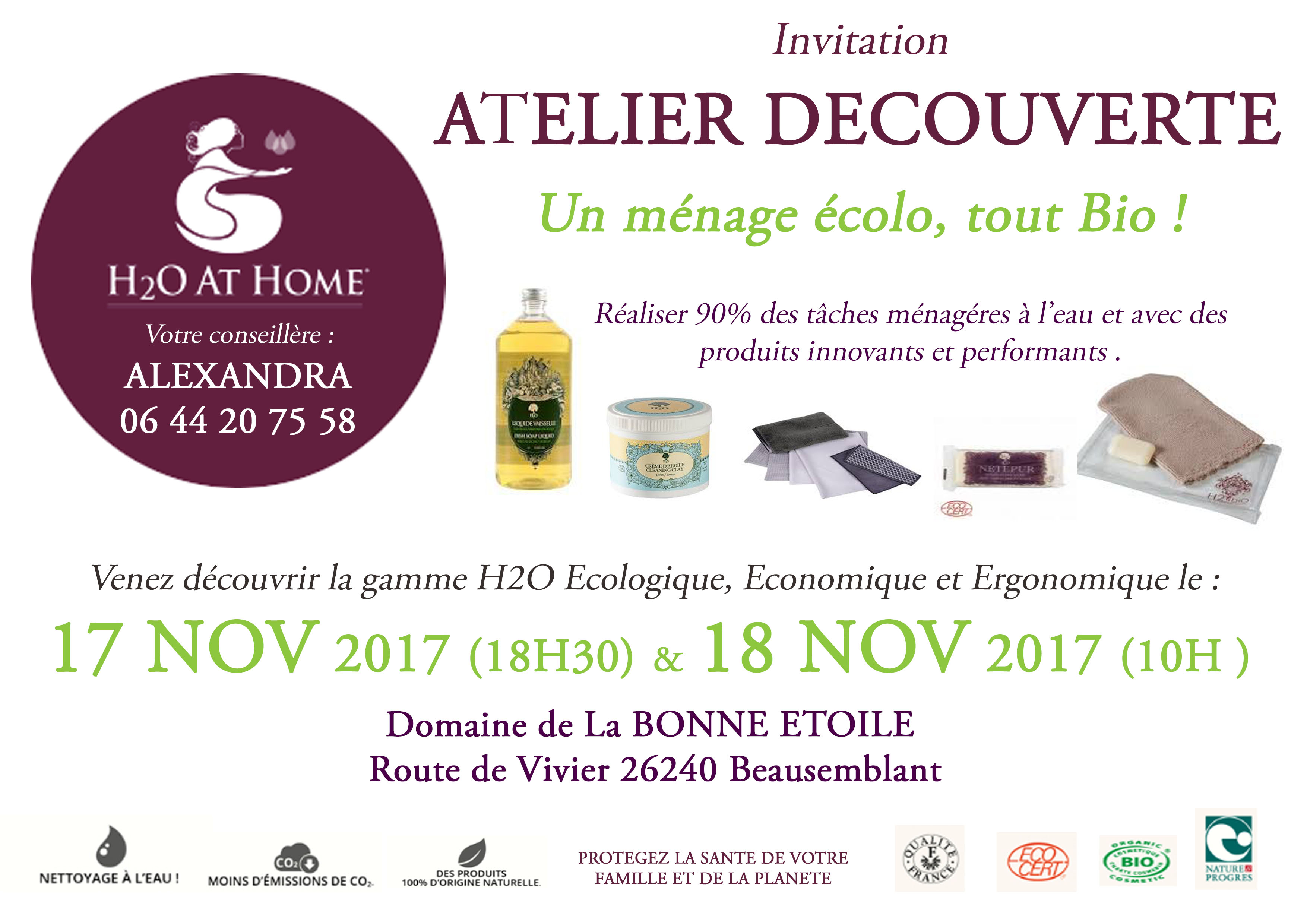 Atelier Découverte H2o At Home 17 Et 18 Nov 2017
