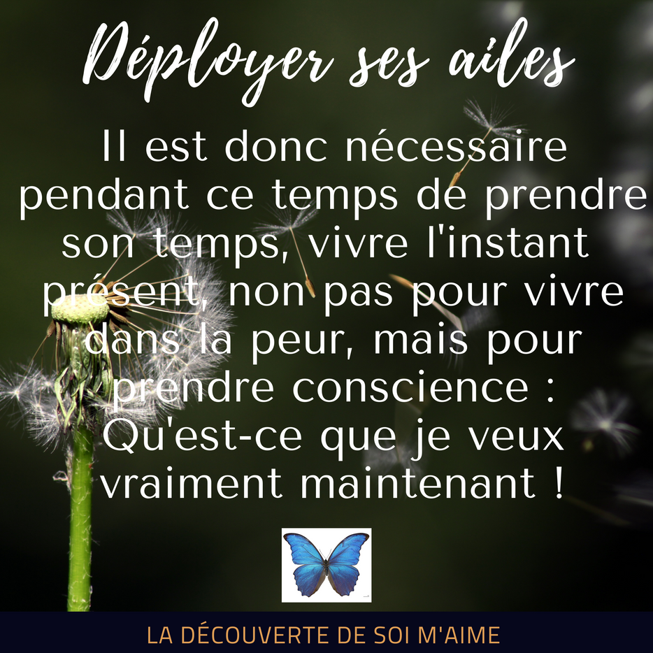 Citation du jour 