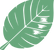 Asset 4.png