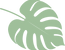 Asset 6.png