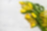 shutterstock_2425464265.jpg