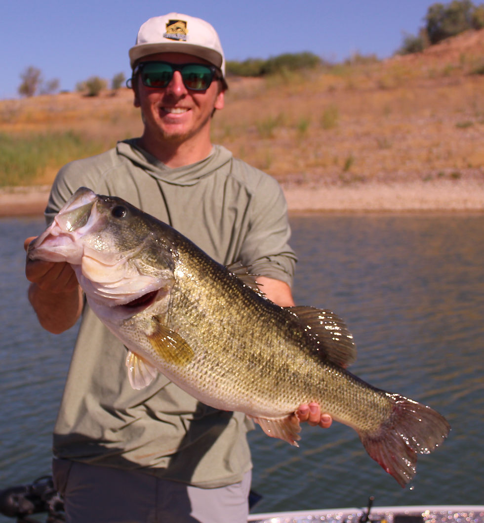 10-Big Fish.JPG