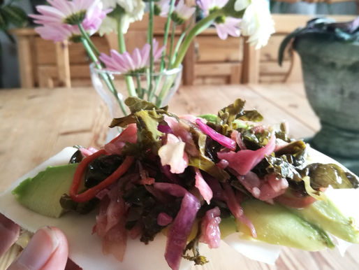 Kimchi, 1.forsøk