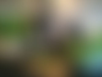 Våren inviterer til detox og faste