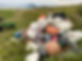 IMG_3438.JPEG