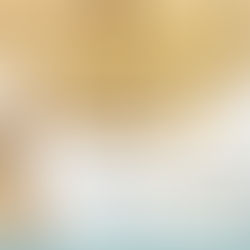 programma religioso festa del soccorso 2026 san severo manifesto ufficiale