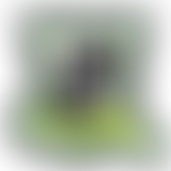 Scudetto Rione Porta Lucera