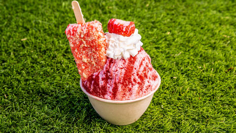 Sweet_Trips_Strawberry_Shortcake.jpg