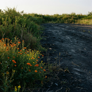 Site Clearing & Reclamation