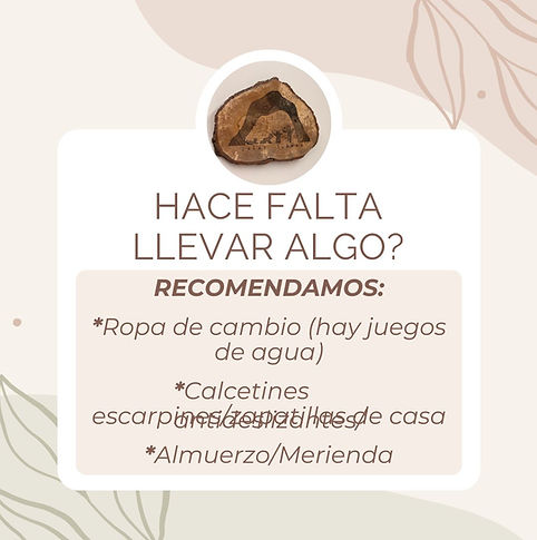 Peach Elegant Organic Leaves Health Coach Ask Me Anything Instagram Post(1).jpg