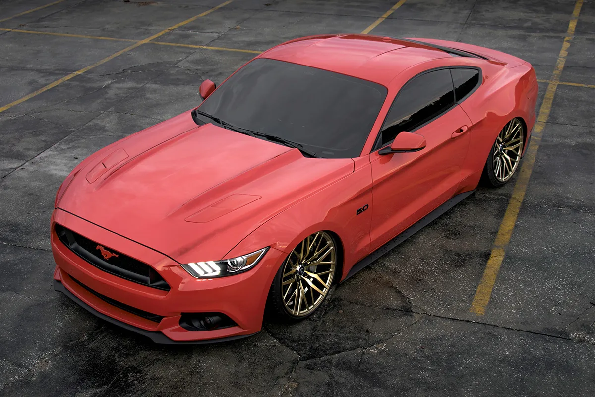 ex30-orange-tang.webp