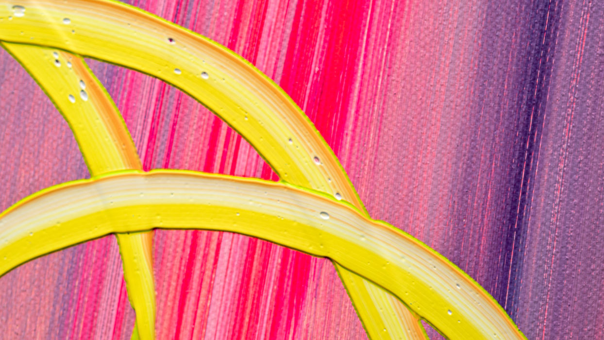 Milan Sipek's Mesmerizing Painting Created with VR and Paint Projection Nozzle - A Work of Art to BeholdSipek