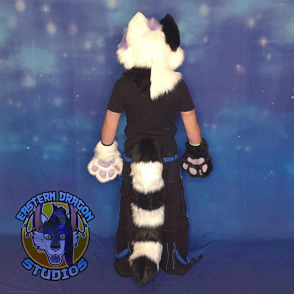 seth 8