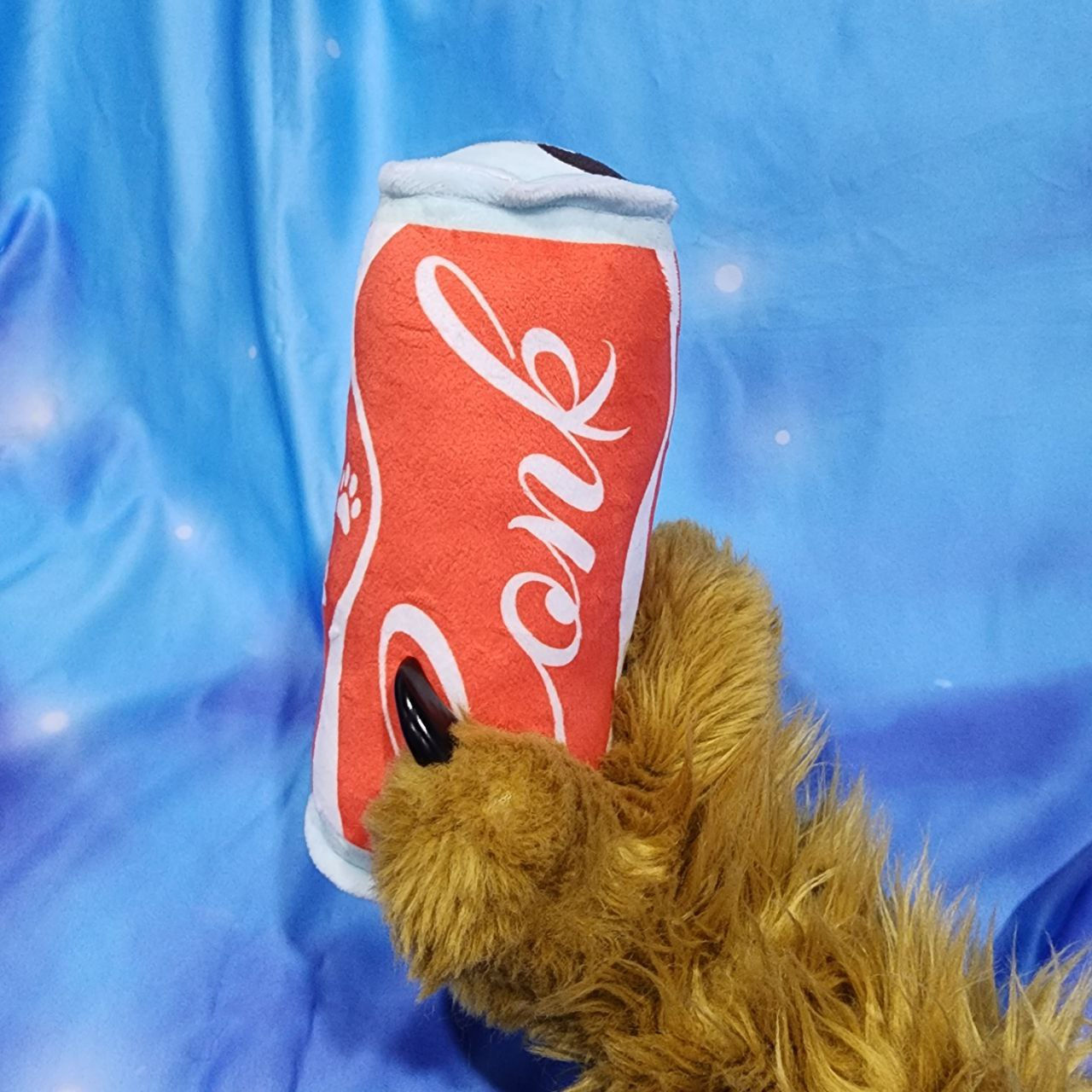 Soft Drink Can