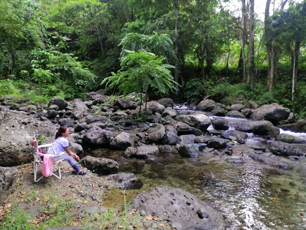 Thumbnail: El Pimentel, San Luis, Aurora 4 hectares farmland for Tourism Develop