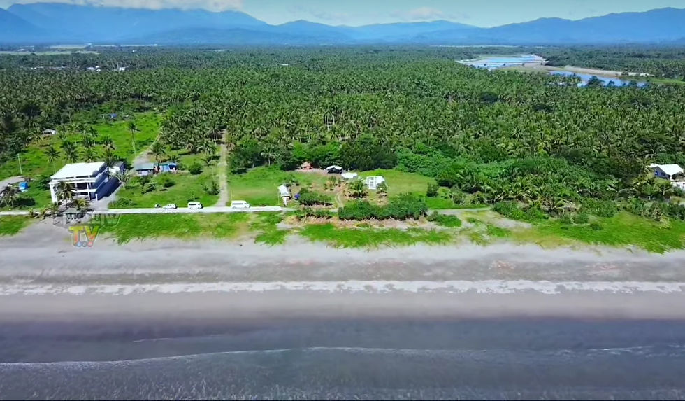 Thumbnail: 2500 SQM Northern Sabang Beach Front, Baler Aurora for Sale 