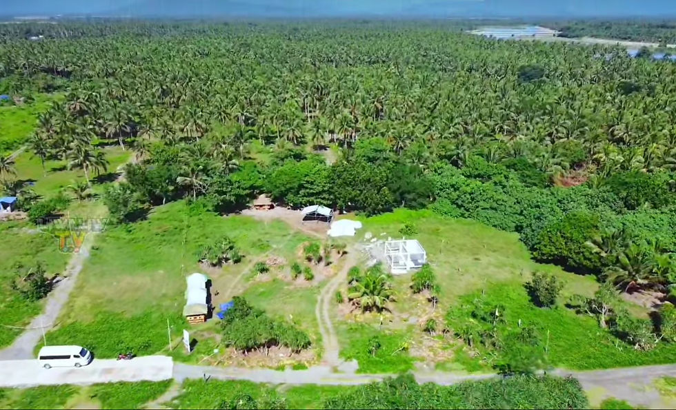 Thumbnail: 2500 SQM Northern Sabang Beach Front, Baler Aurora for Sale 
