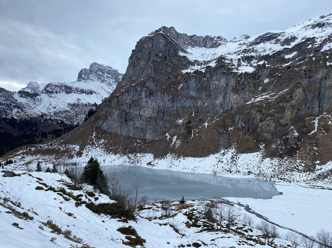 WP Yenstock 2023-01-08 (2).jpeg