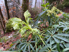 WP Oberdörfer 2023-02-05 (5).jpeg