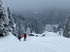 WP Rägeflüeli 2023-01-29 (2).jpeg