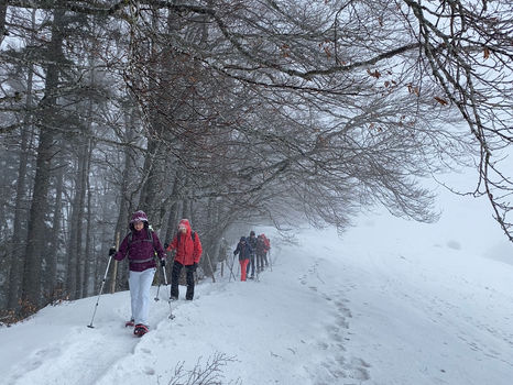 WP Oberdörfer 2023-02-05 (2).jpeg