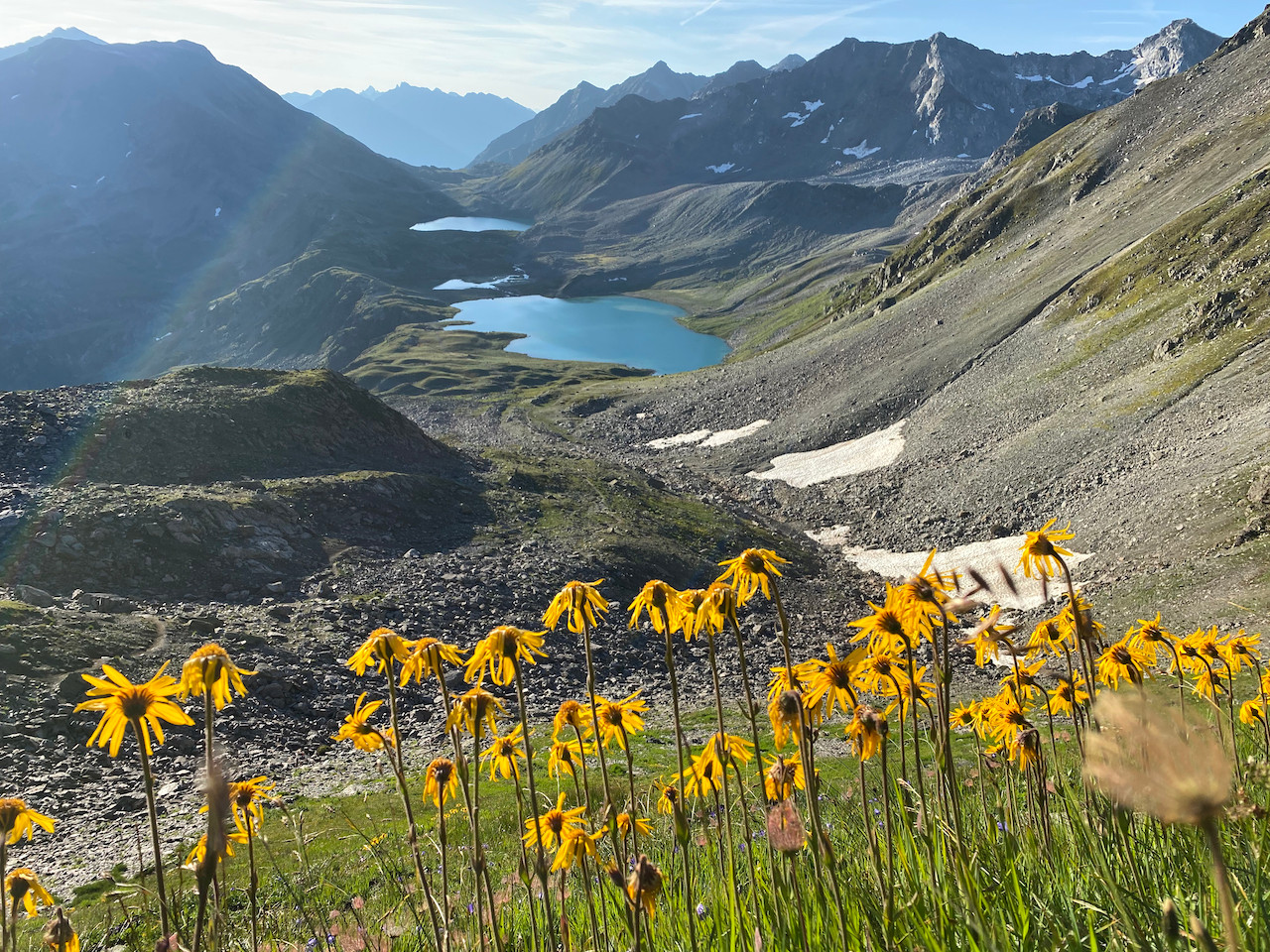 (c) Wander-plausch.ch