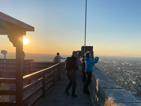 FA Basel Wildtulpen 2023-04-04 (1).jpeg