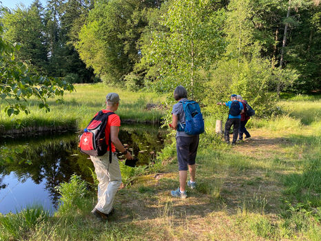 Hinwiler Riedgebiete FA 2023-05-05 (8).jpeg