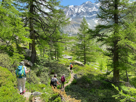 WP Binntal 2023-06-15 (8).jpeg