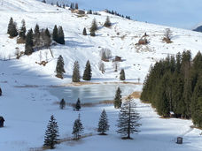 WP Toggenburger Woche 2023-02-13 (6).jpeg