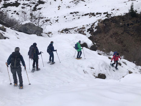 WP Yenstock 2023-01-08 (5).jpeg