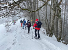 WP Oberdörfer 2023-02-05 (3).jpeg