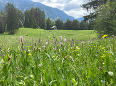 WP Ruiaulta 2023-05-14 (7).jpeg