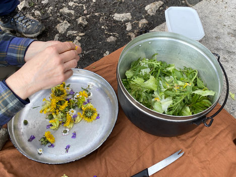 Jura-Trekking Tag 3_Saalhof-Oberbölchen (1).jpeg