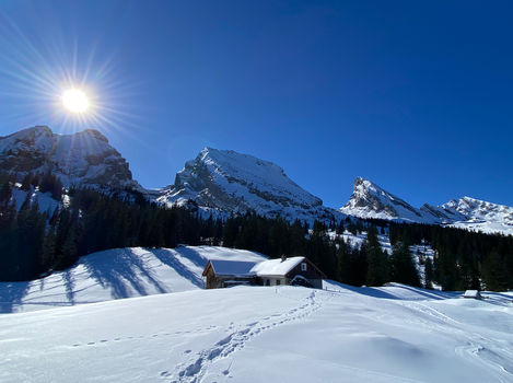 WP Toggenburger Woche 2023-02-13 (8).jpeg